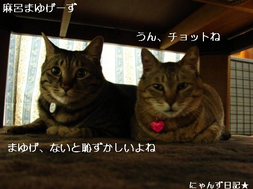 まゆげ考_d0355333_14094336.jpg