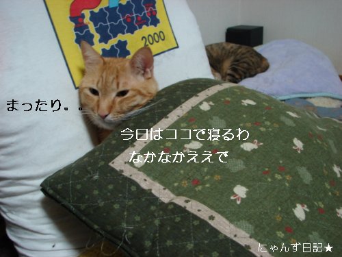 かわいいプレゼント★_d0355333_14094637.jpg