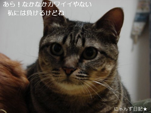 かわいいプレゼント★_d0355333_14094641.jpg