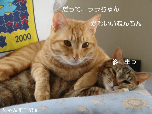 イケナイ行動_d0355333_14094764.jpg