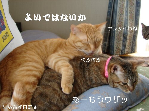 イケナイ行動_d0355333_14094767.jpg
