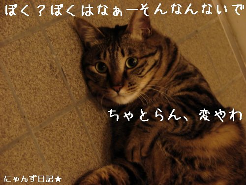 イケナイ行動_d0355333_14094770.jpg
