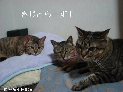 笑子ちゃんも。。_d0355333_14094876.jpg