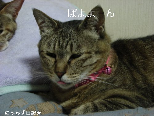 笑子ちゃんも。。_d0355333_14094882.jpg