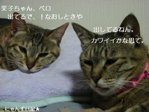 笑子ちゃんも。。_d0355333_14094932.jpg