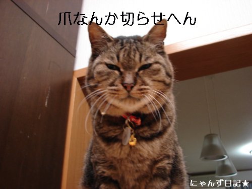 爪切らせて。。ね?_d0355333_14095036.jpg
