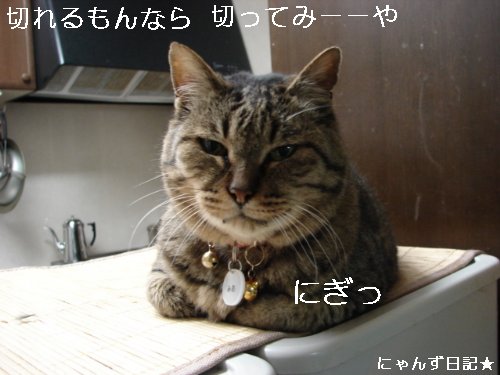 爪切らせて。。ね?_d0355333_14095127.jpg
