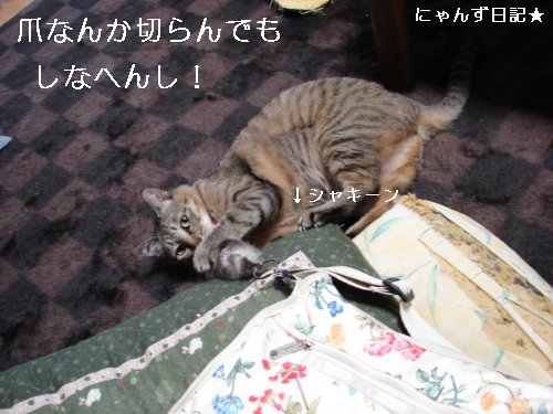 爪きりいやンズその2_d0355333_14095272.jpg