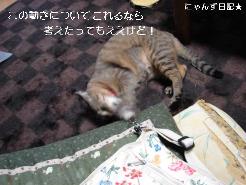 爪きりいやンズその2_d0355333_14095275.jpg