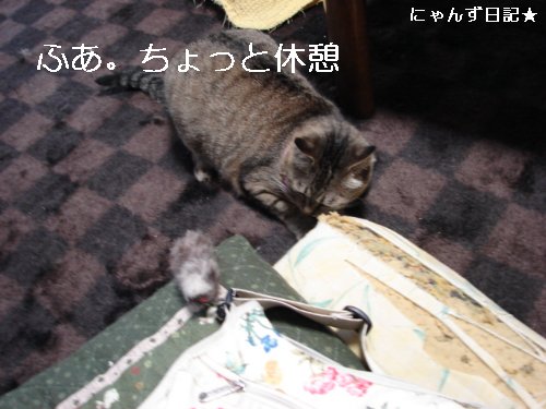 爪きりいやンズその2_d0355333_14095309.jpg