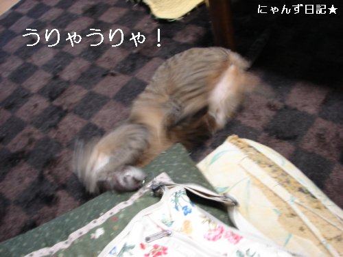 爪きりいやンズその2_d0355333_14095337.jpg