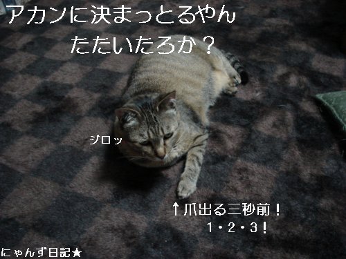 爪きりいやンズその2_d0355333_14095382.jpg