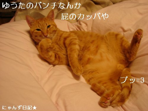 プッ=3_d0355333_14095426.jpg