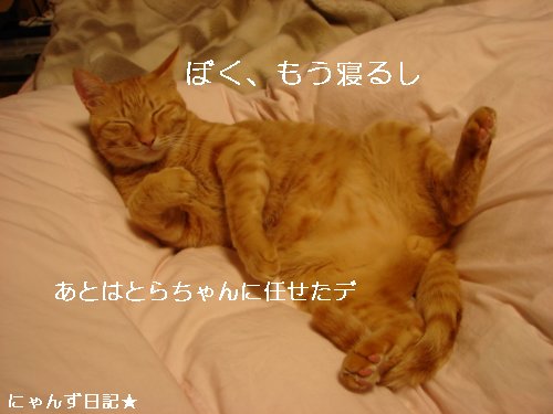 プッ=3_d0355333_14095508.jpg