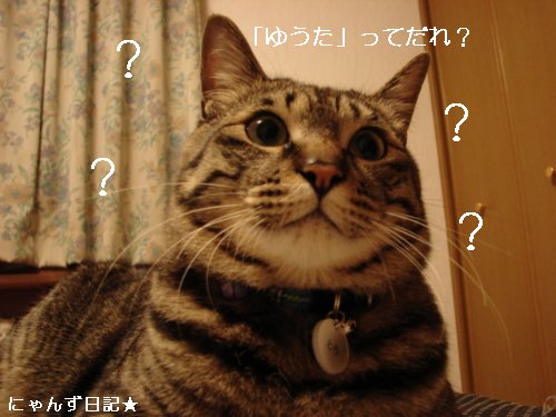 プッ=3_d0355333_14095587.jpg