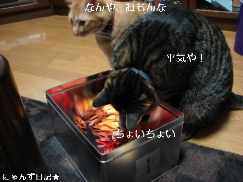 千羽鶴を折っていたら。。_d0355333_14100413.jpg