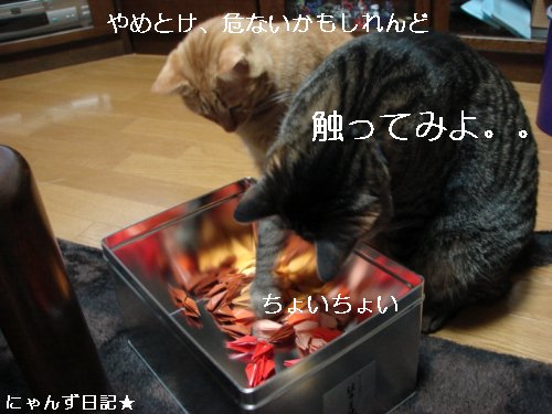 千羽鶴を折っていたら。。_d0355333_14100430.jpg