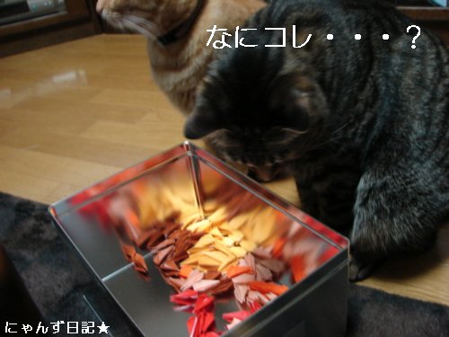 千羽鶴を折っていたら。。_d0355333_14100474.jpg