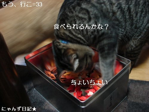 千羽鶴を折っていたら。。_d0355333_14100481.jpg