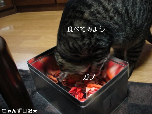 千羽鶴を折っていたら。。_d0355333_14100507.jpg