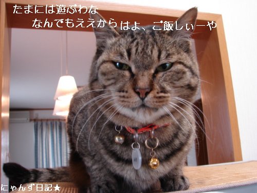 あれから3年・・たばこ税説明会の日に思う_d0355333_14100848.jpg