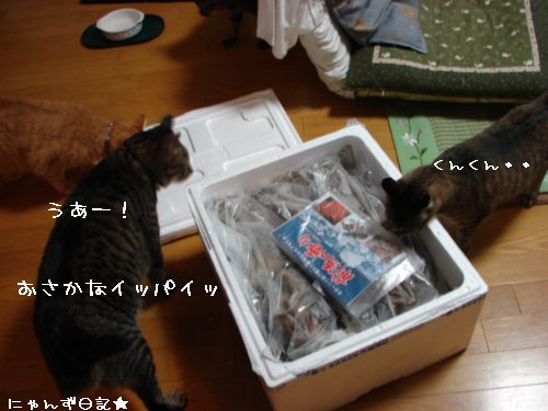 かに・カニ・蟹~!!_d0355333_14103028.jpg