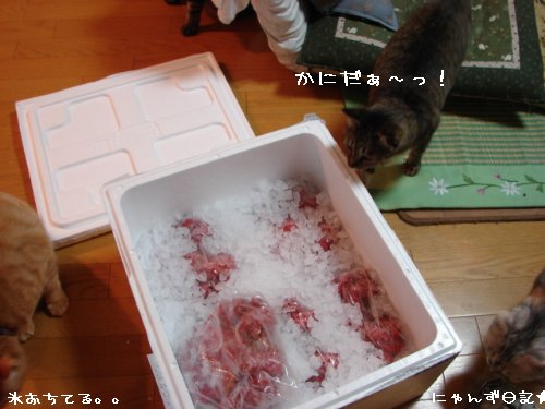 かに・カニ・蟹~!!_d0355333_14103214.jpg
