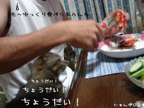 かに・カニ・蟹~!!_d0355333_14103354.jpg