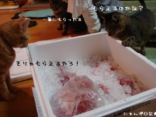かに・カニ・蟹~!!_d0355333_14103359.jpg