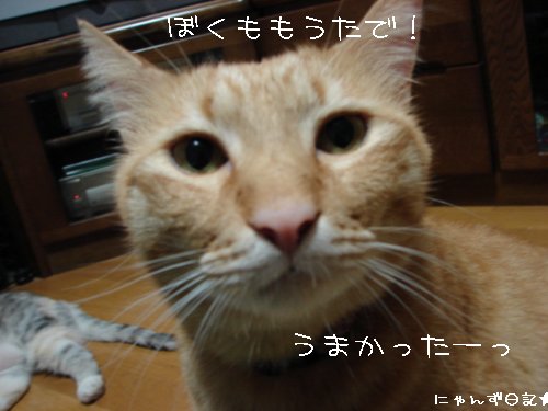 かに・カニ・蟹~!!_d0355333_14103470.jpg