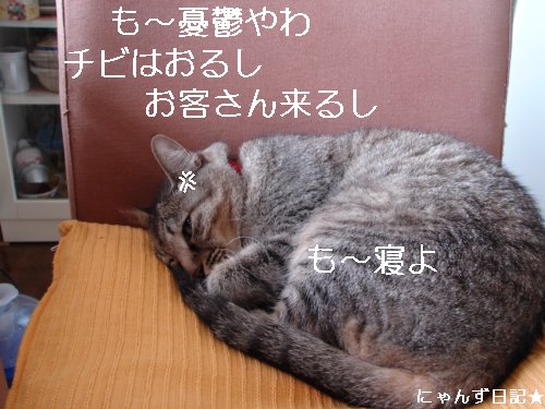 ちびちび白黒3にゃんず_d0355333_14104477.jpg