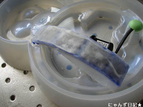 猫噴水の上手な使い方_d0355333_14105643.jpg