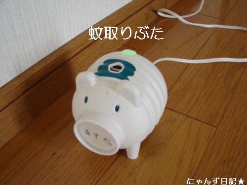 猫噴水の上手な使い方_d0355333_14105697.jpg