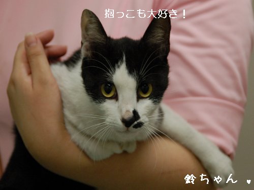 ★鈴ちゃん★_d0355333_14105892.jpg