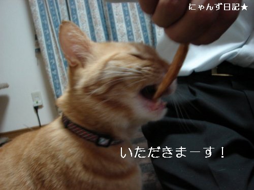 芋けんぴ_d0355333_14110135.jpg
