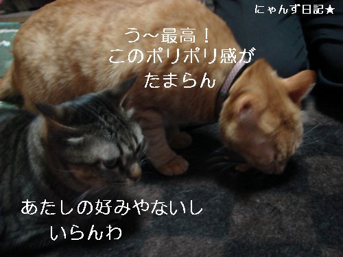 芋けんぴ_d0355333_14110216.jpg