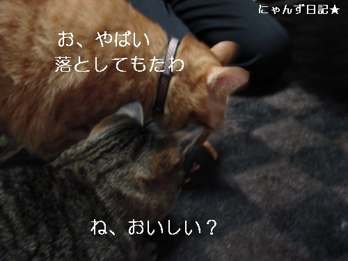 芋けんぴ_d0355333_14110294.jpg