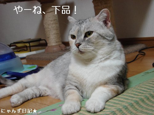 まぐろの値上がり_d0355333_14110362.jpg