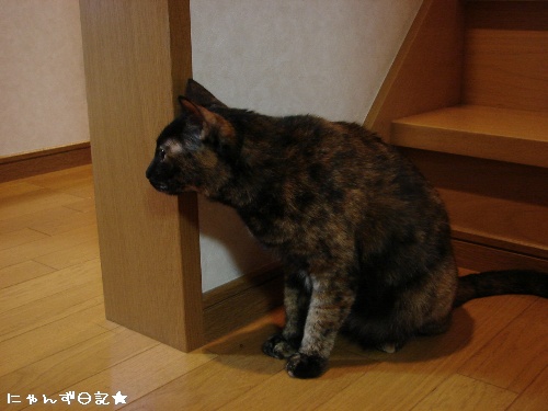 何色?そして幸せ報告★_d0355333_14111006.jpg