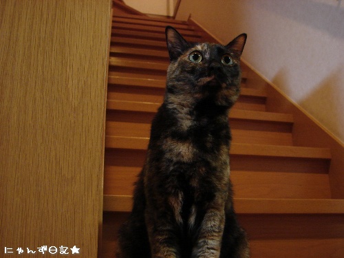 何色?そして幸せ報告★_d0355333_14111014.jpg