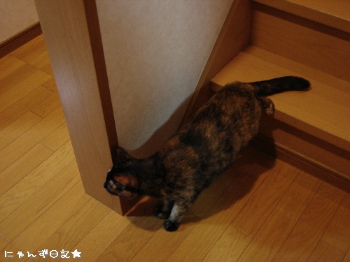 何色?そして幸せ報告★_d0355333_14111025.jpg