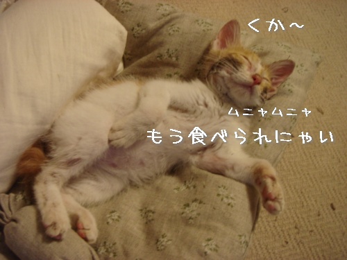 お名前きまったよ!_d0355333_14111480.jpg