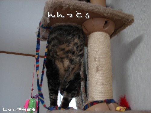 タワー穴抜けの術_d0355333_14111510.jpg