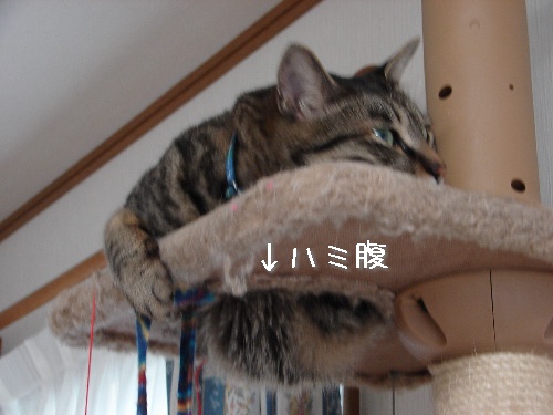 タワー穴抜けの術_d0355333_14111522.jpg