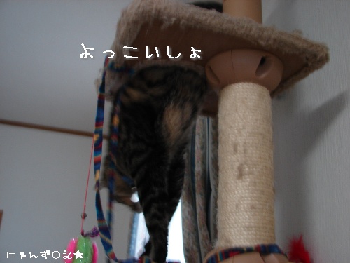 タワー穴抜けの術_d0355333_14111540.jpg