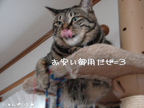 タワー穴抜けの術_d0355333_14111541.jpg