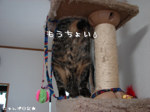 タワー穴抜けの術_d0355333_14111694.jpg