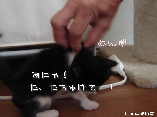 じゃんけんぽん★その2_d0355333_14111915.jpg
