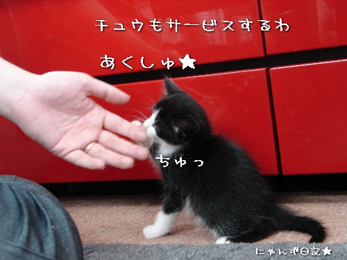じゃんけんぽん★その2_d0355333_14112050.jpg
