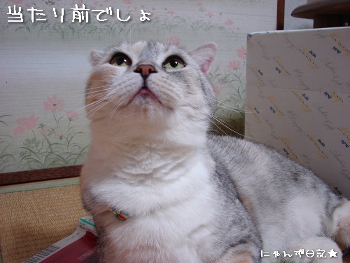 頂きものいっぱい♪_d0355333_14112703.jpg